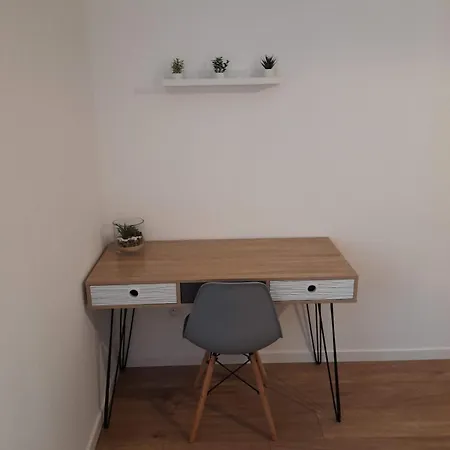 Apartment T2 Spacieux Et Confortable Mulhouse