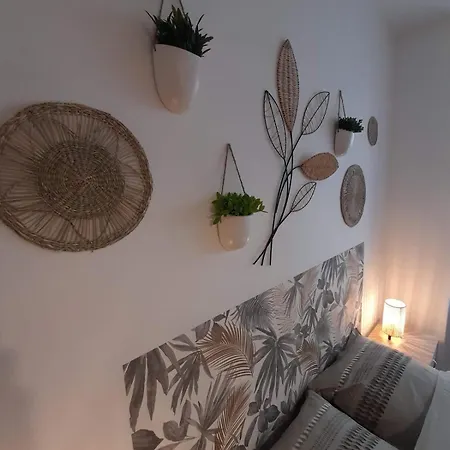 Apartment T2 Spacieux Et Confortable Mulhouse